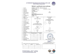 MAG-FM1-PA（ss，nb）---Li Youzhu